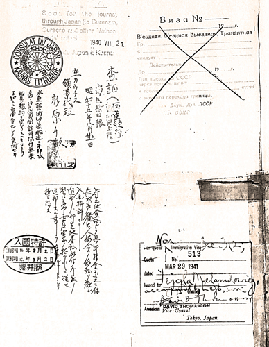 Document — Szyja Melamed