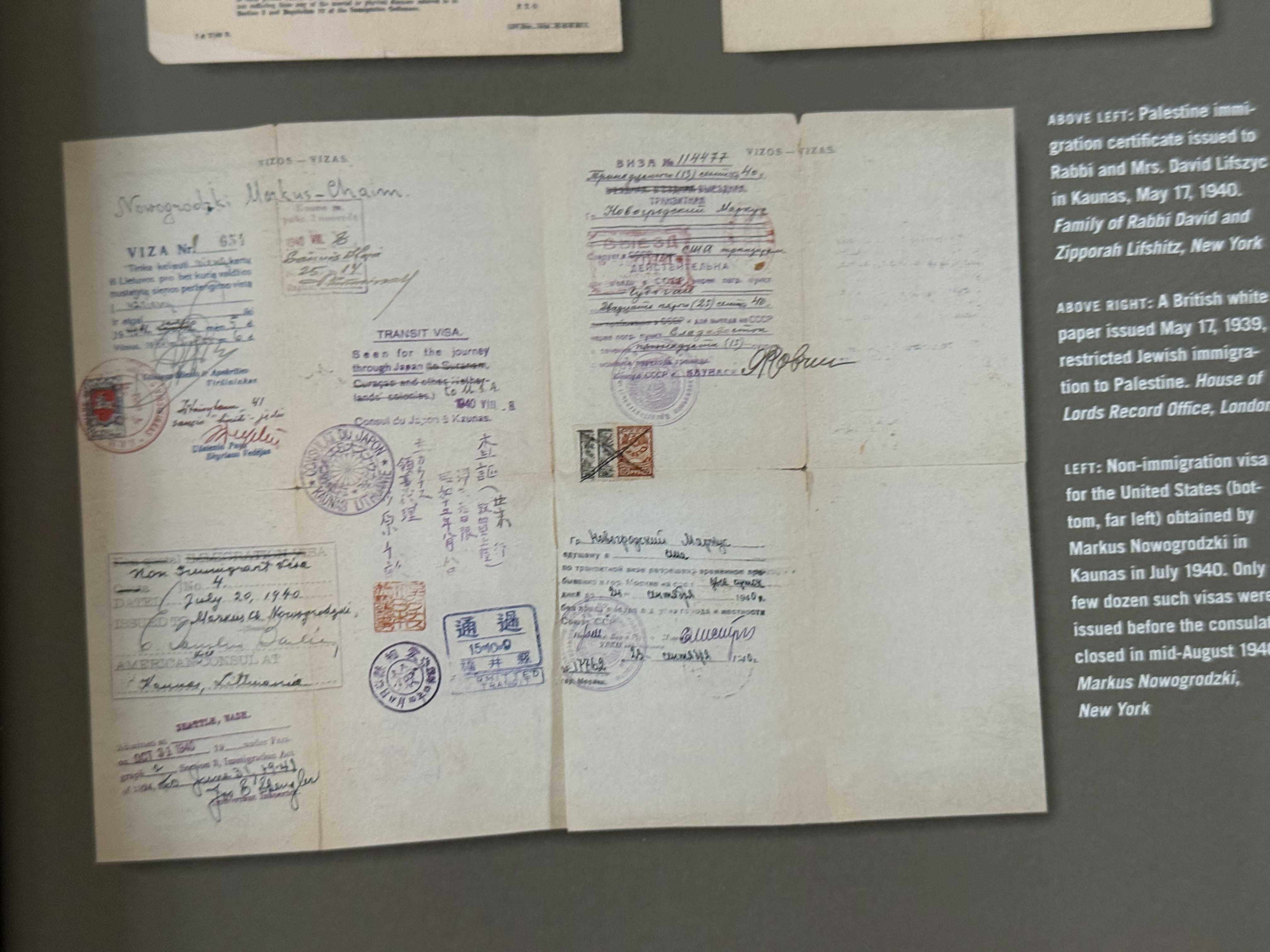 Document — Markus Chaim Nowgrodzki