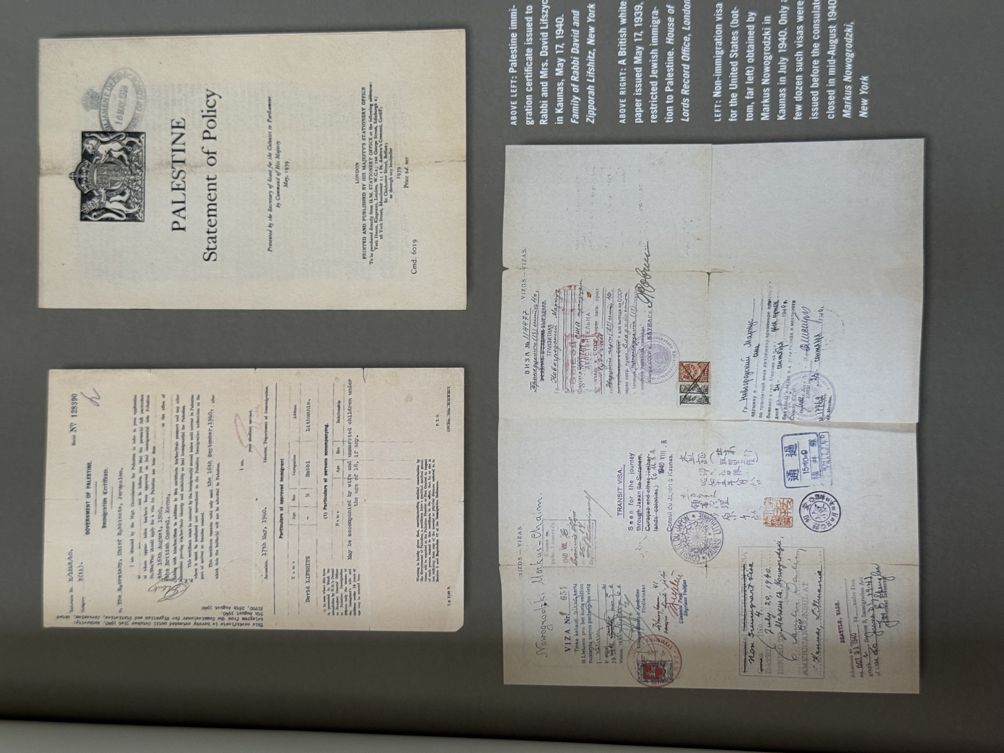 Document — Markus Chaim Nowgrodzki