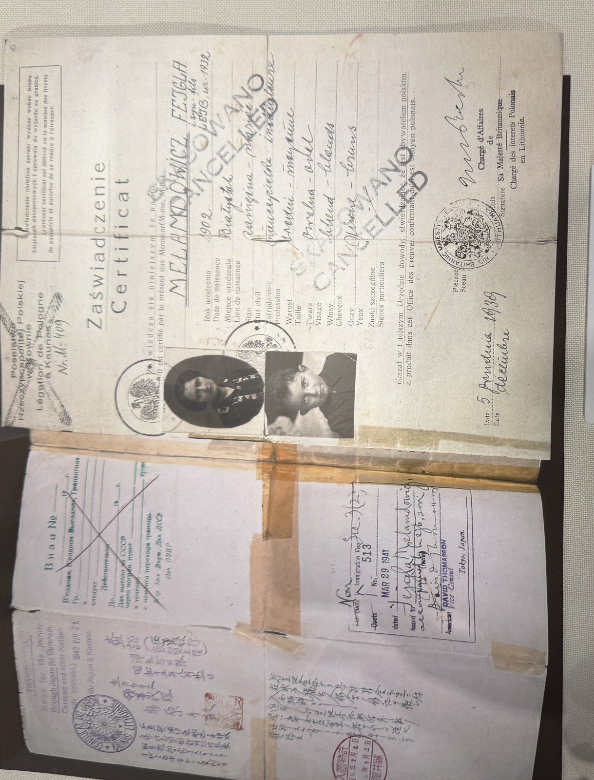 Document — Fejga Melamedowicz