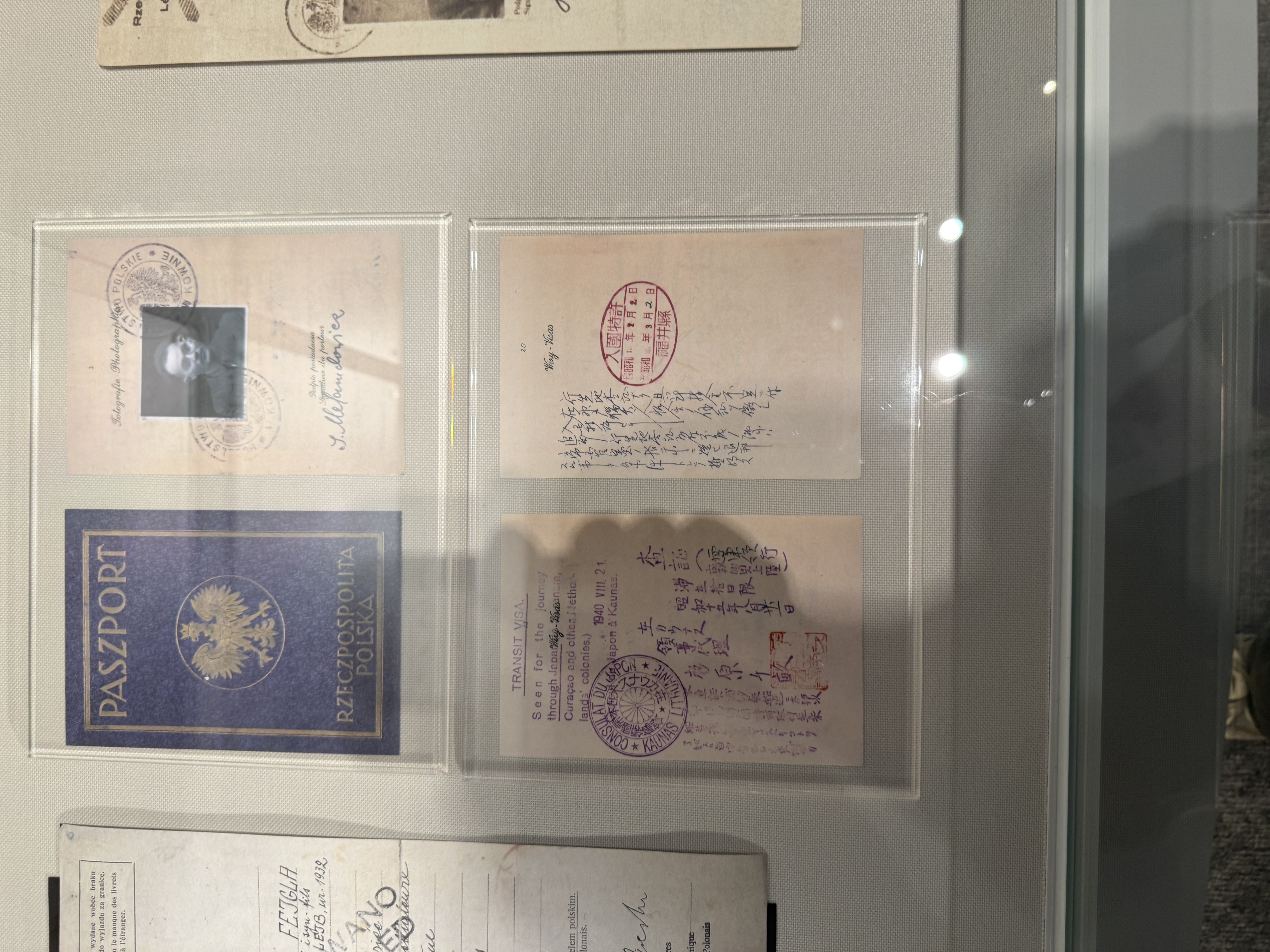 Document — Szyja Melamed
