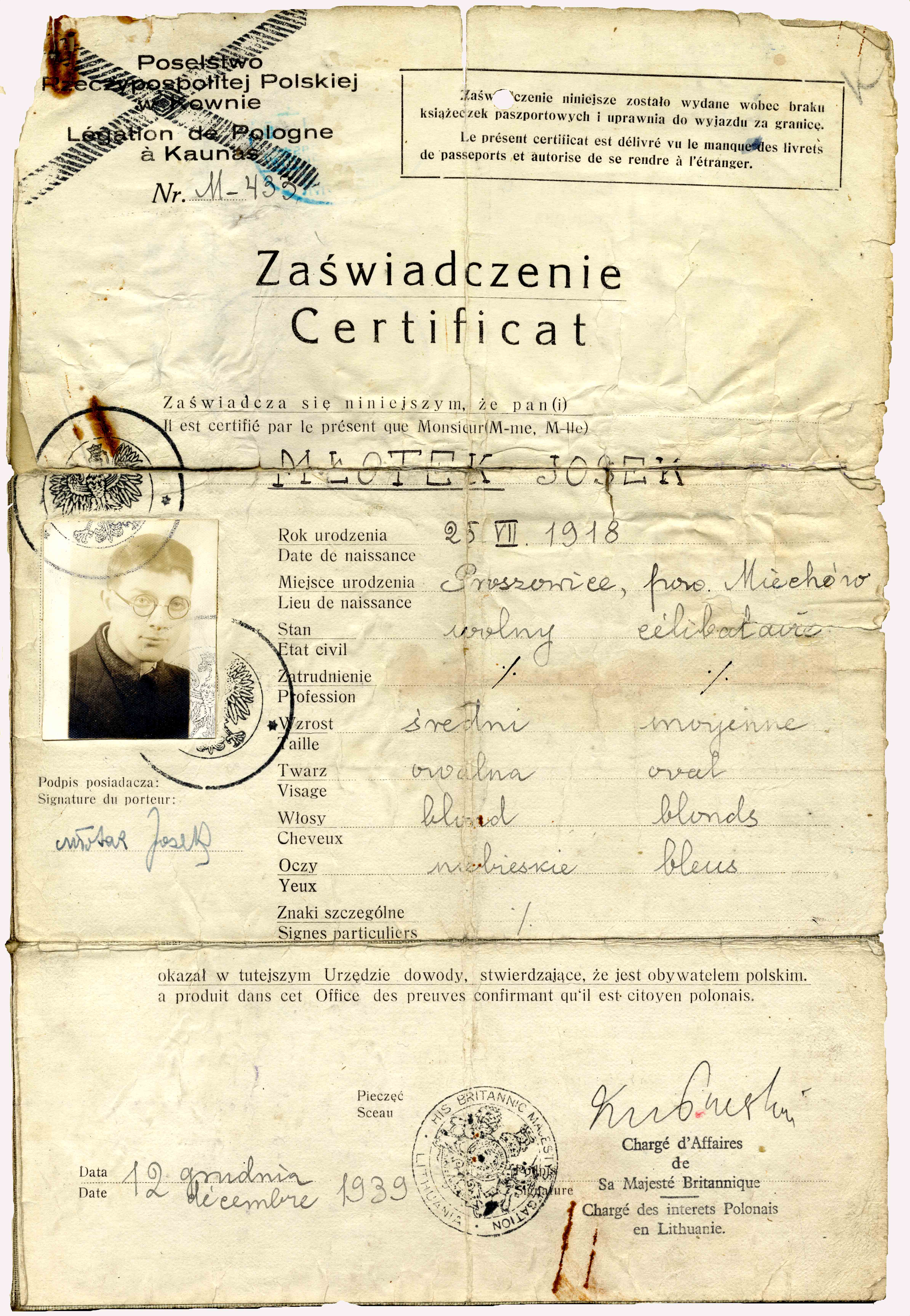 Josek Mlotek