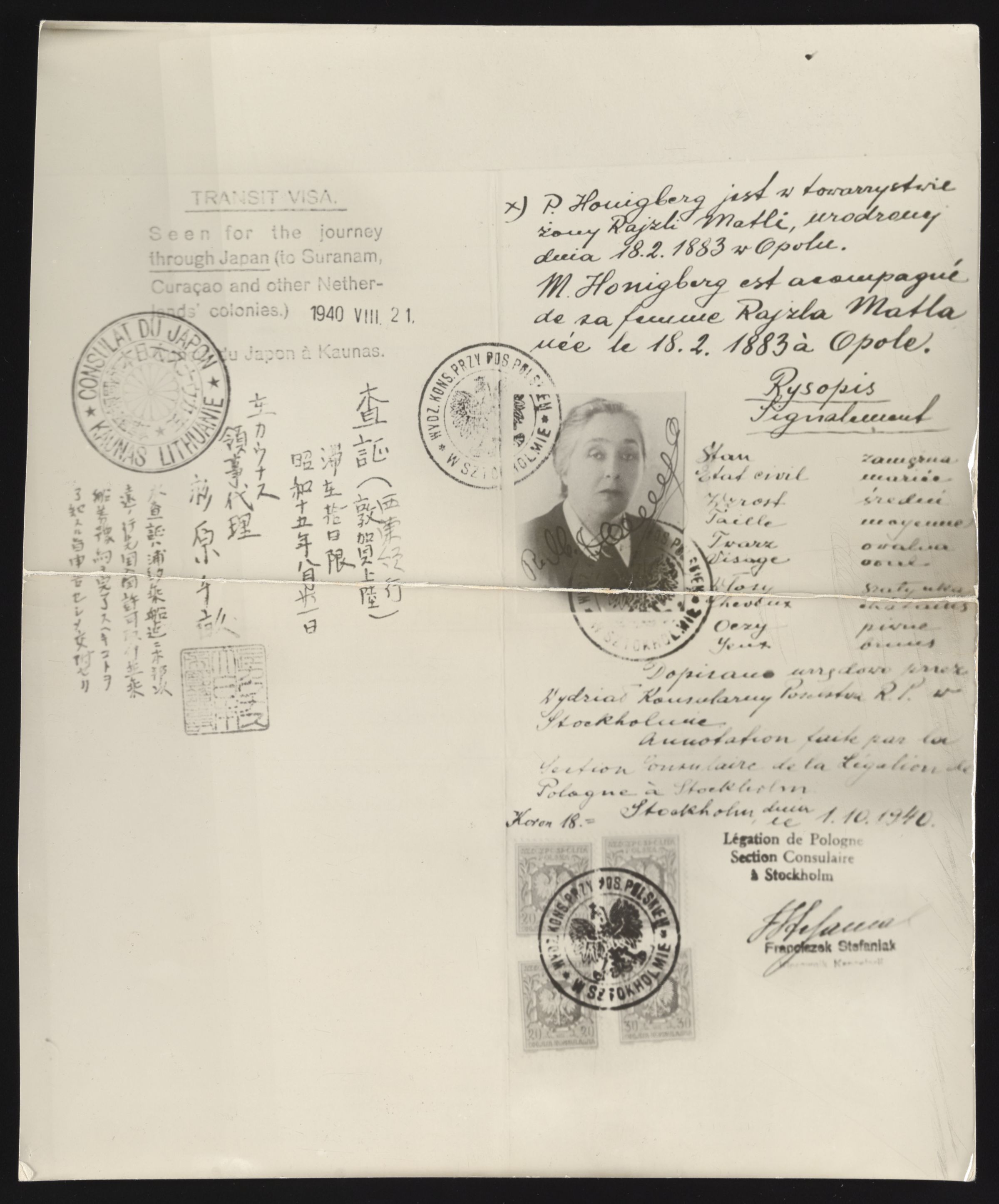 Document — Zelik Honigsberg